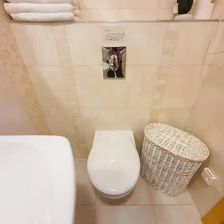Apartament Irys Z Widokiem Na Tatry Apartment Koscielisko